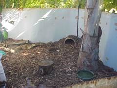 mulch